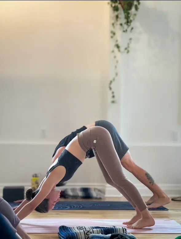 Yoga student in a downward dog to wheel pose transition